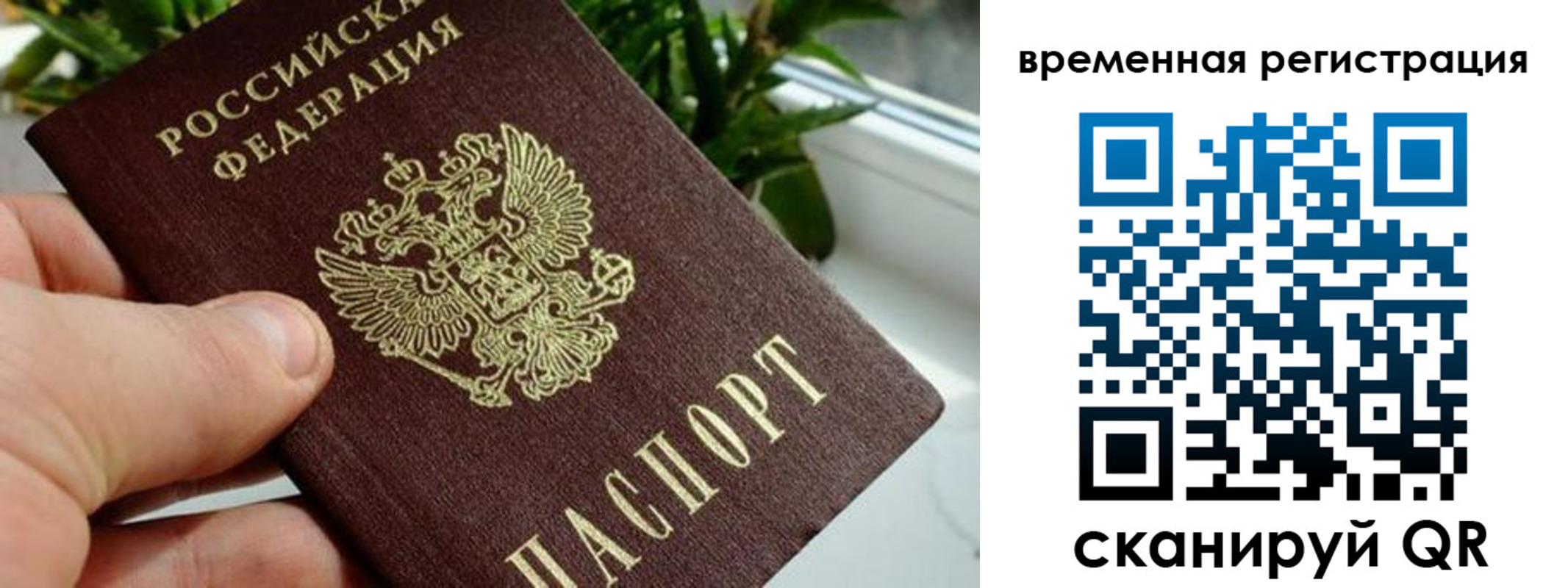 прописка поиск в Пересвете